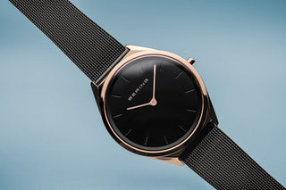 Montre Bering homme 17039-166, vue 2