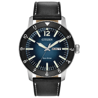 Montre Citizen homme AW0078-08L