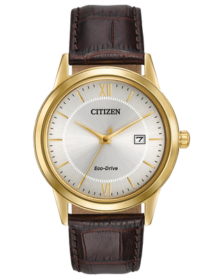 Montre Citizen homme AW1232-04A