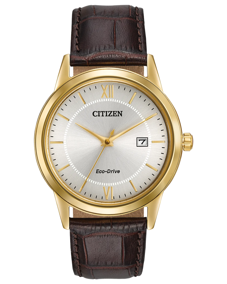 Montre Citizen homme AW1232-04A