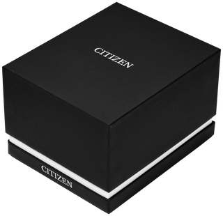 CITIZEN BJ6570-50E - photo 6