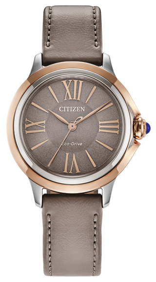 CITIZEN EM1166-01Z
