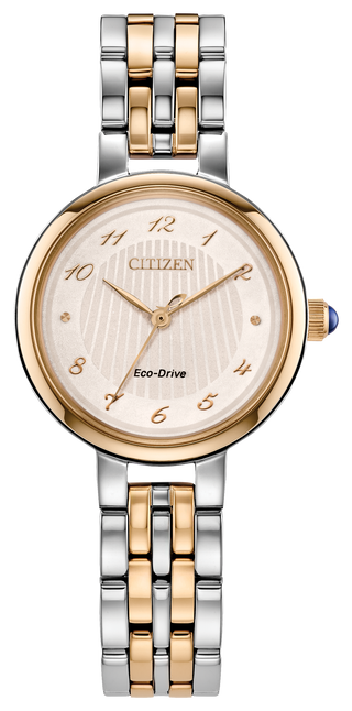 CITIZEN EM0996-84Y