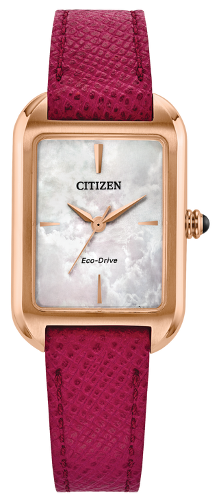 CITIZEN EM1193-08D