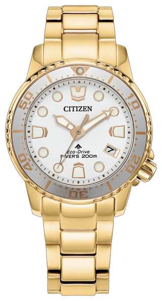 CITIZEN EO2029-54A