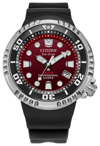 CITIZEN BN1024-01Z