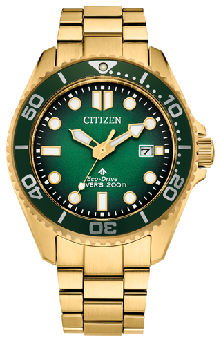 CITIZEN BN0262-59W